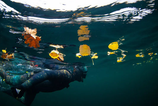 Undervannsjakt i løpet av et år – del 1 av 4 - Høsten